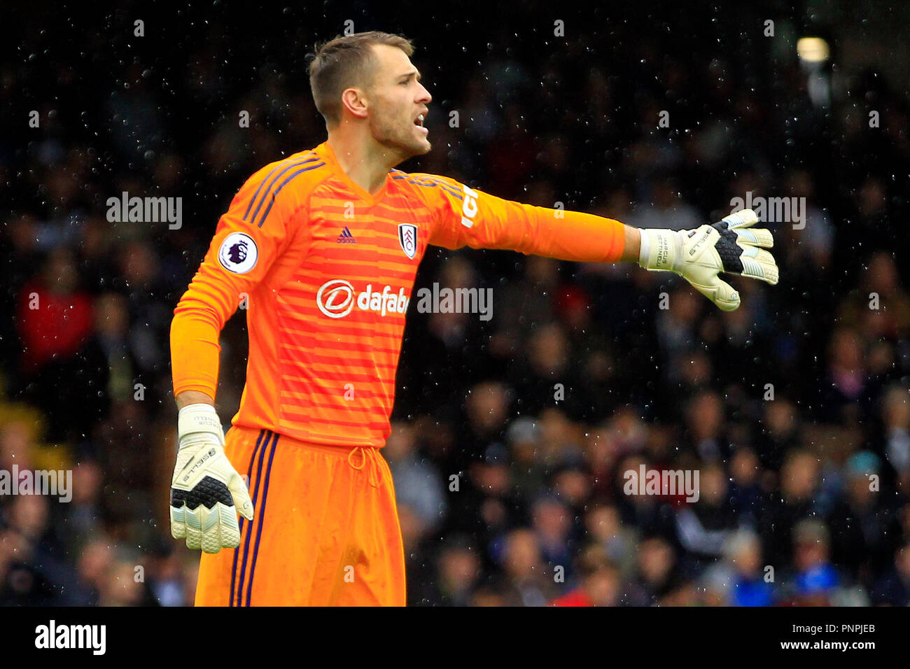 London Uk 22nd September 2018 Marcus Bettinelli The Goalkeeper Of Fulham In Action Premier League Match Fulham V Watford At Craven Cottage In London On Saturday 22nd September 2018 This Image