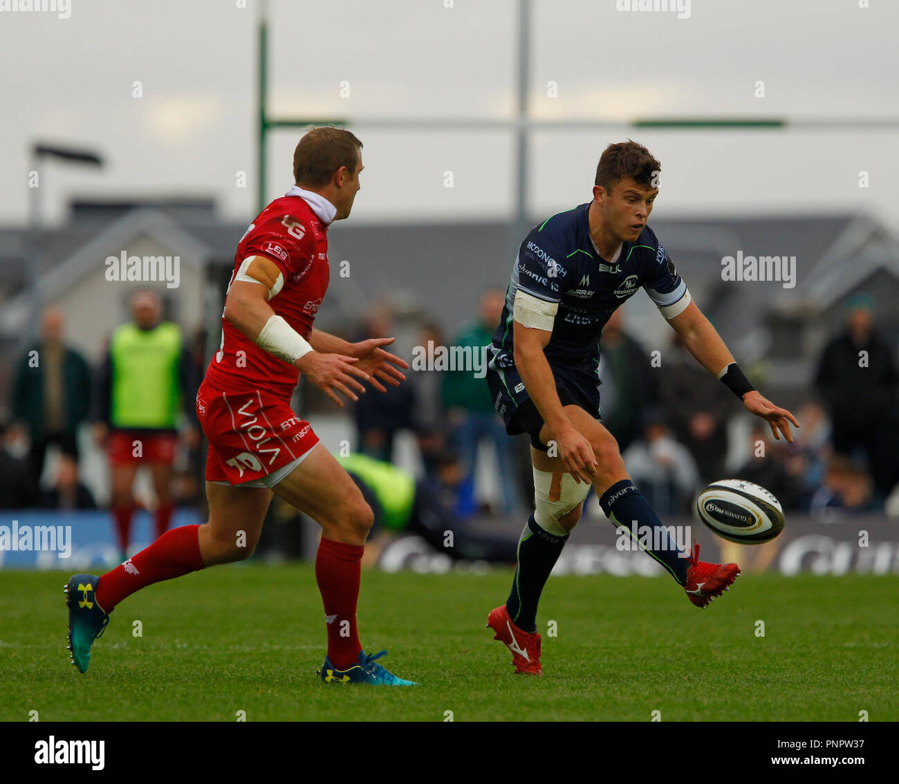 Galway Sportsground, Galway, Ireland. 22nd Sep, 2018. Guinness Pro14 rugby, Connacht versus Scarlets; Tom Farrell kicks the bal forward for Connacht Credit: Action Plus Sports/Alamy Live News Stock Photo