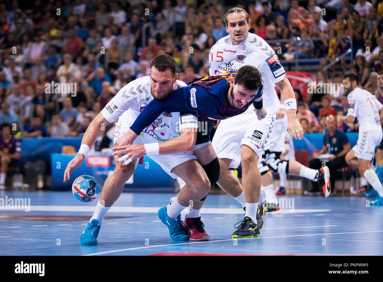 velux handball