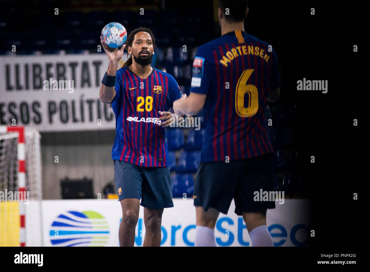 champions league velux