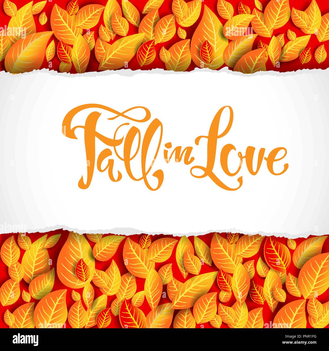 Beautiful fall leaves card Stock Vector Image & Art - Alamy