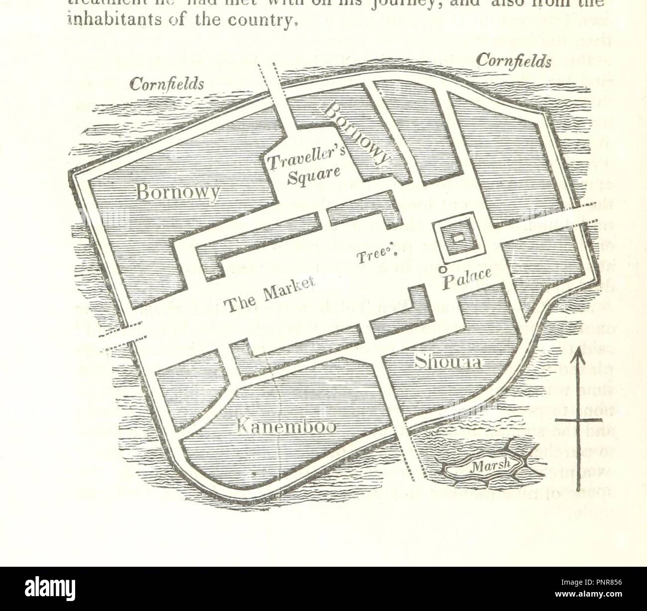 Image from page 246 of '[Narrative of Travels and Discoveries in Northern and Central Africa, in the years 1822, 1823, and 1824, by Major Denham, Captain Clapperton and the late Doctor Oudney . With an appendix . by Majo0061. Stock Photo