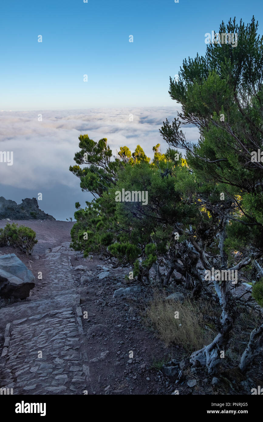 Pico Ruivo 2018 - Madeira Island Hiking sunrise Stock Photo