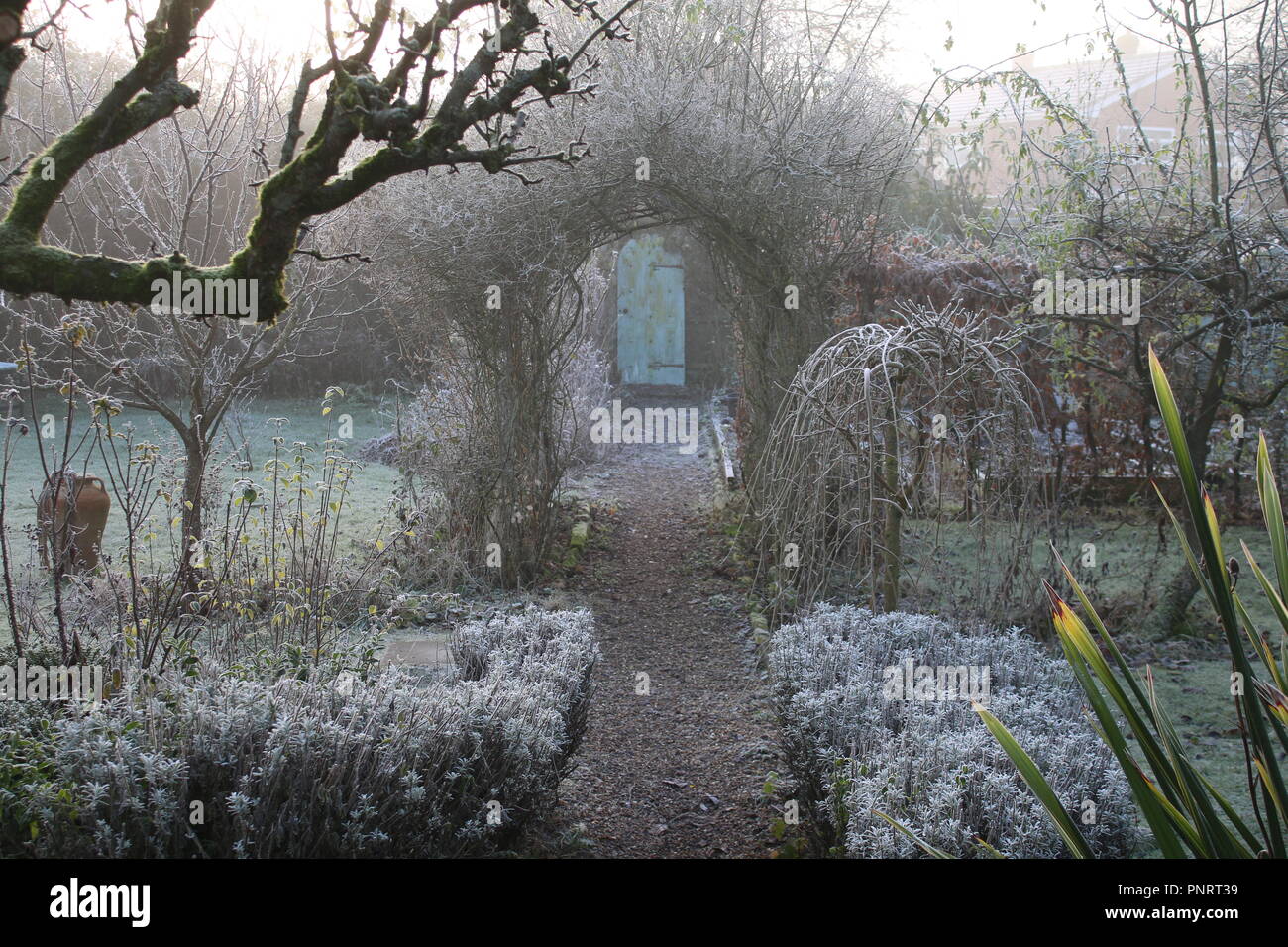 English Cottage Garden In Winter