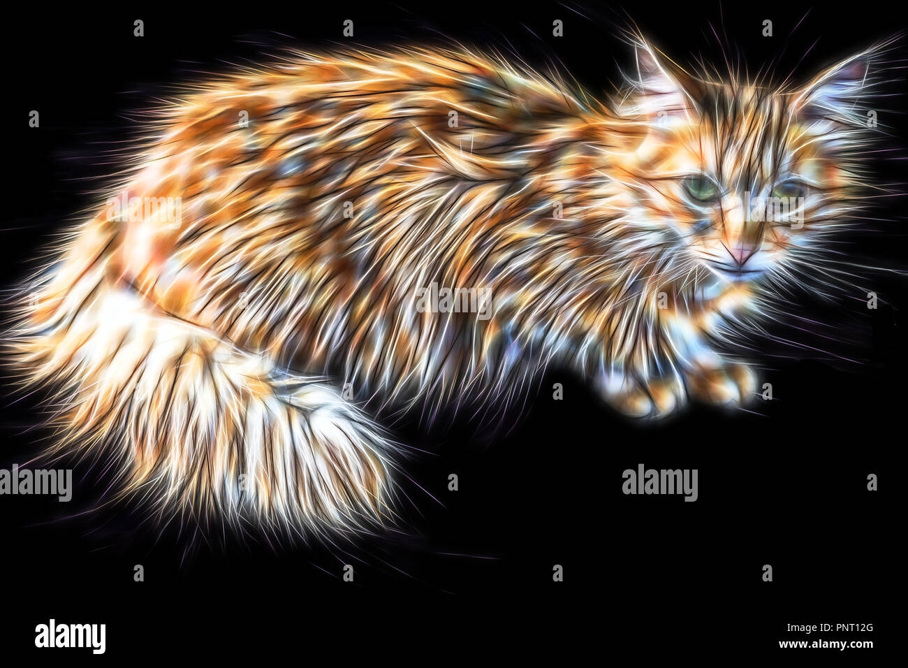 3dRose dpp_155250_2 Tabby Cat Face Pet Lovers Glowing Neon Light Art Wall Clock 13 by 13-Inch