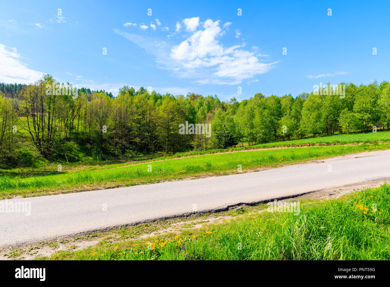 Rural road with green trees near Krakow city during spring season, Poland Stock Photo