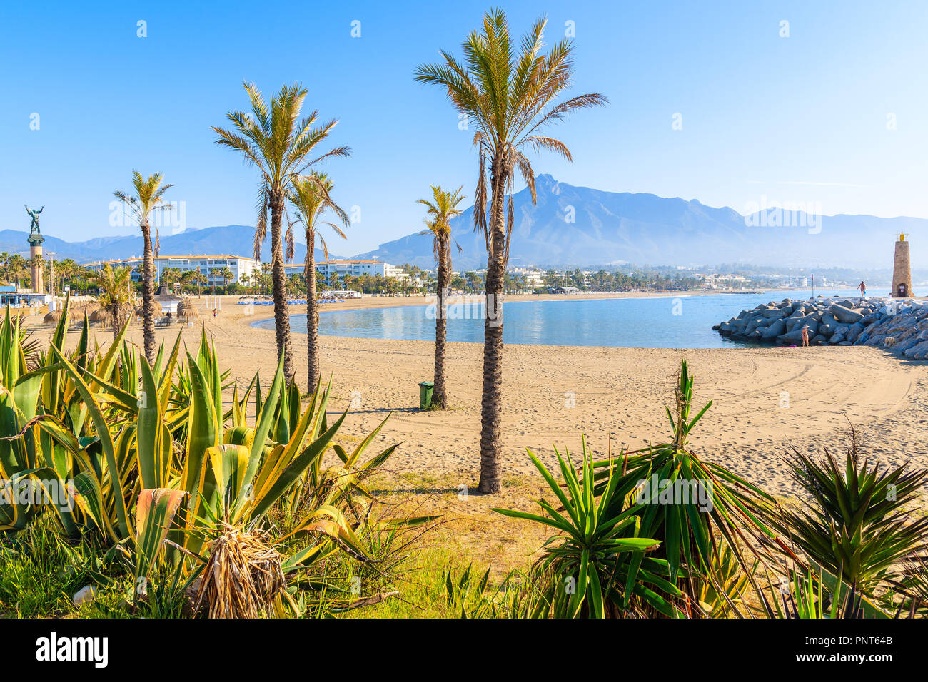 View of beautiful beach with palm trees in Marbella near Puerto Banus marina, Andalusia, Spain Stock Photo