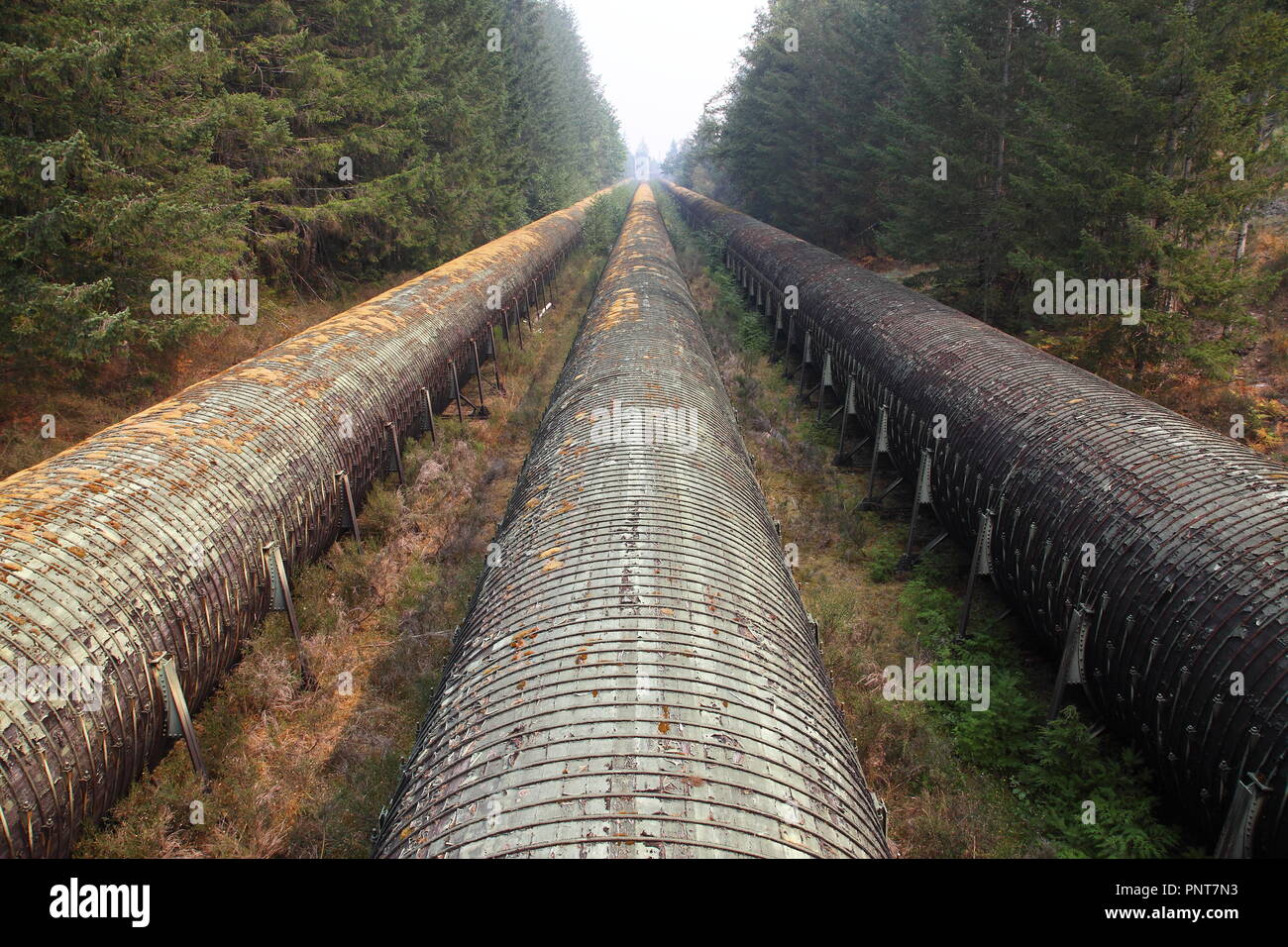 Massive water pipes of British Columbia Water near Elk Falls, Campbell