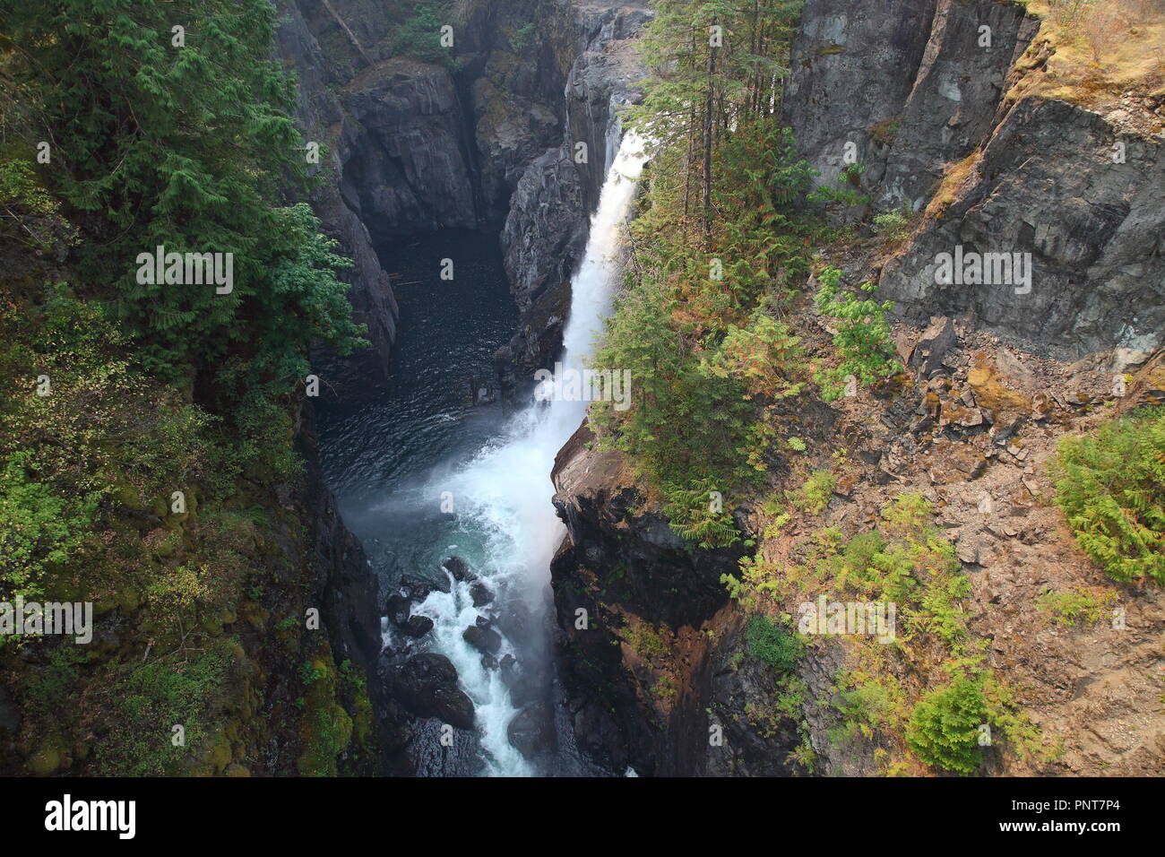Elk Falls near Campbell River, Vancouver Island, BC, Canada Stock Photo