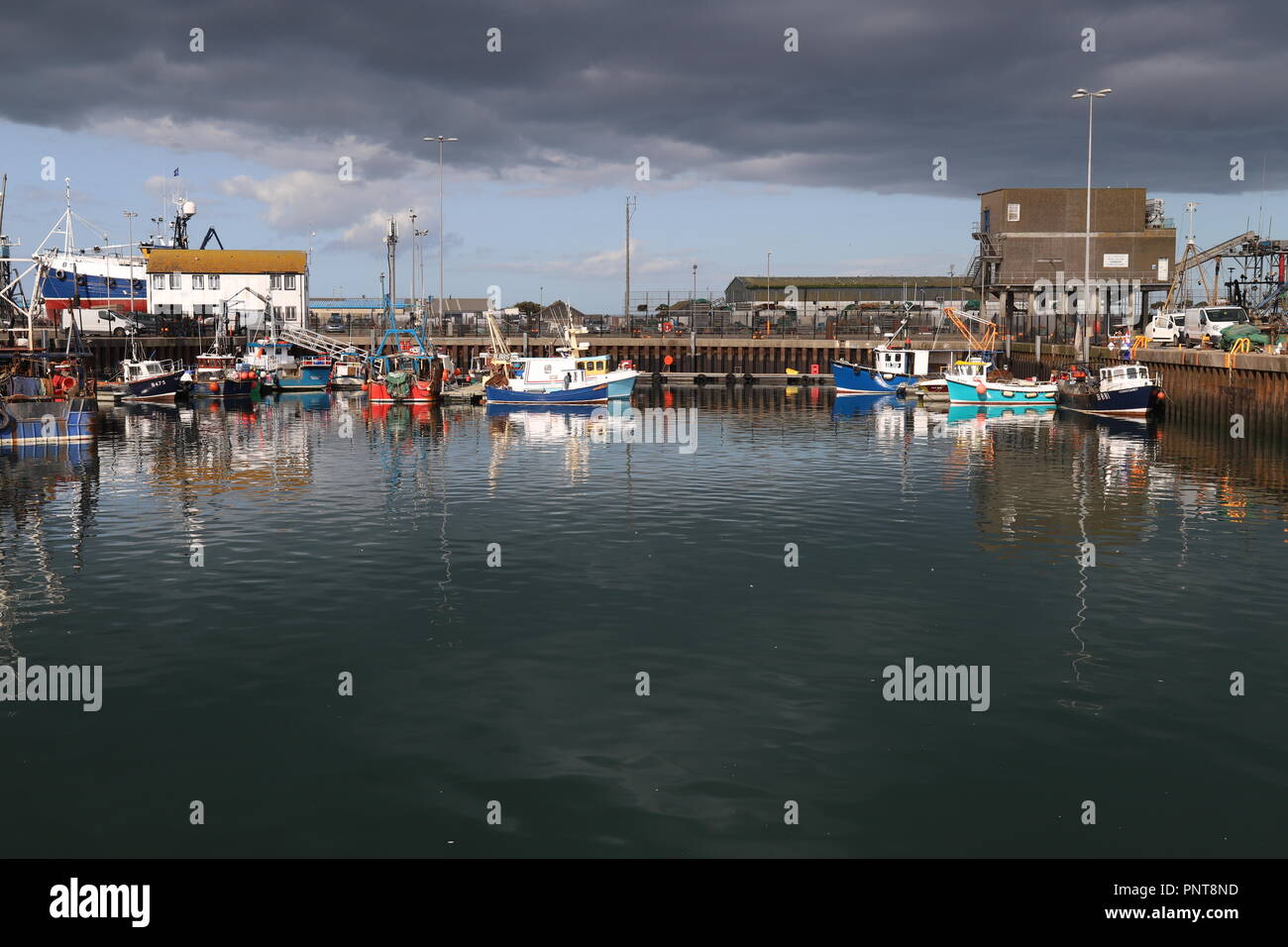 Portavogie Fishing Port, County Down, Northern Ireland, U.K. Stock Photo