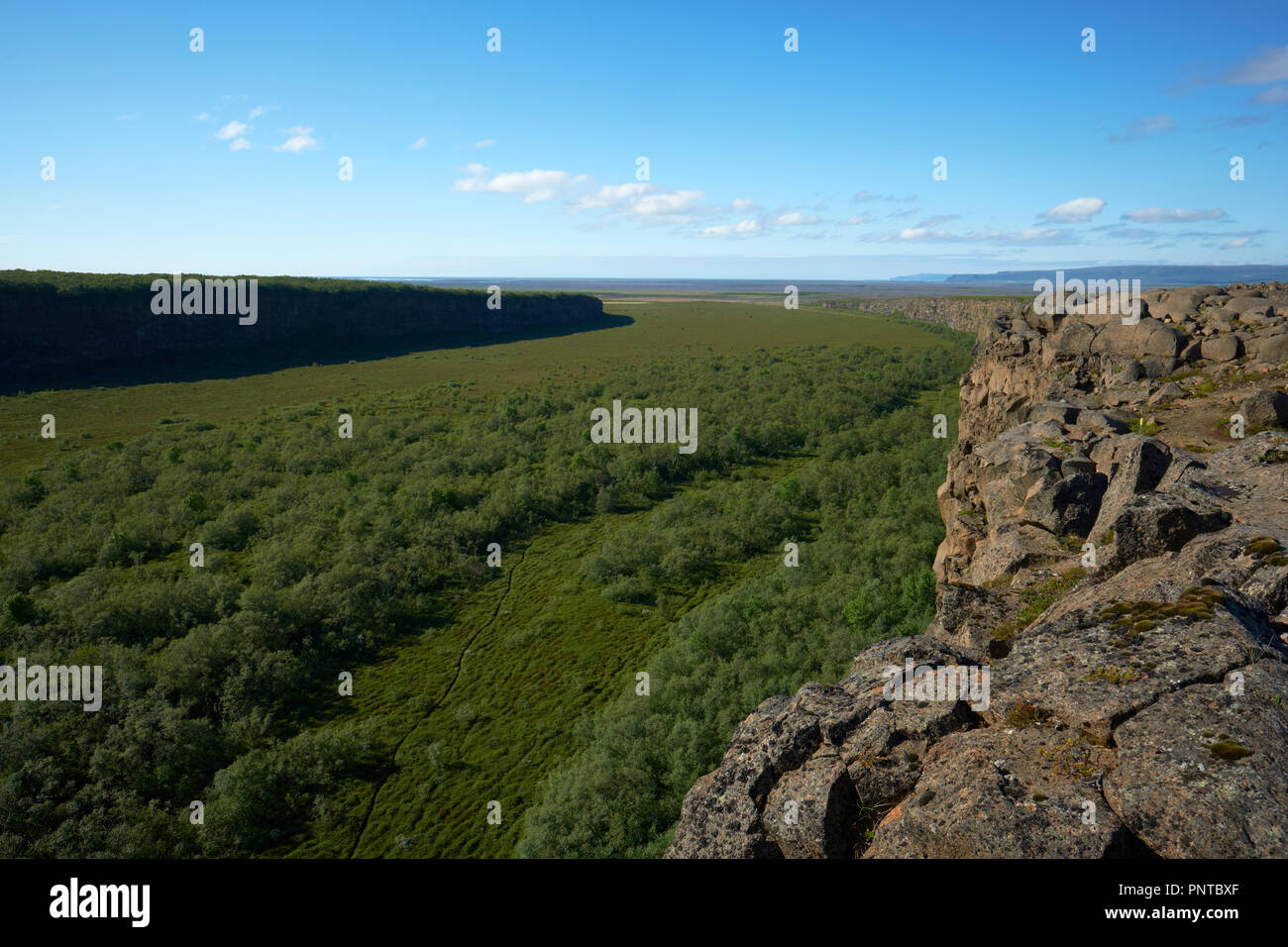 The glacial canyon of Asbyrgi viewed from the central Eyjan rock formation, Vatnajokull National Park, North Iceland. Stock Photo