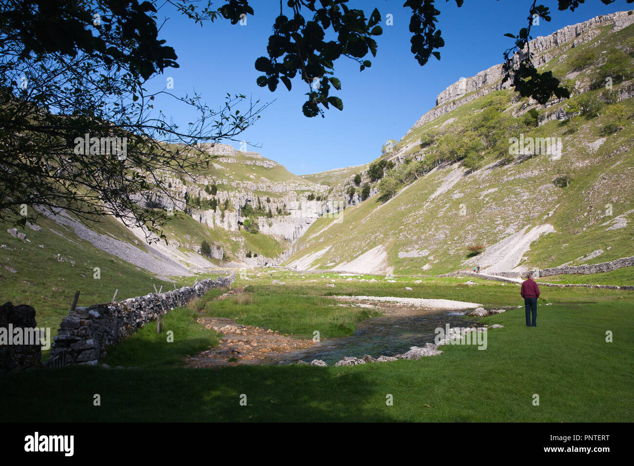 The entrance to Gordale Scar with its limestone cliffs and Gordale Beck flowing through it, near Malham, in the Yorkshire Dales, UK Stock Photo