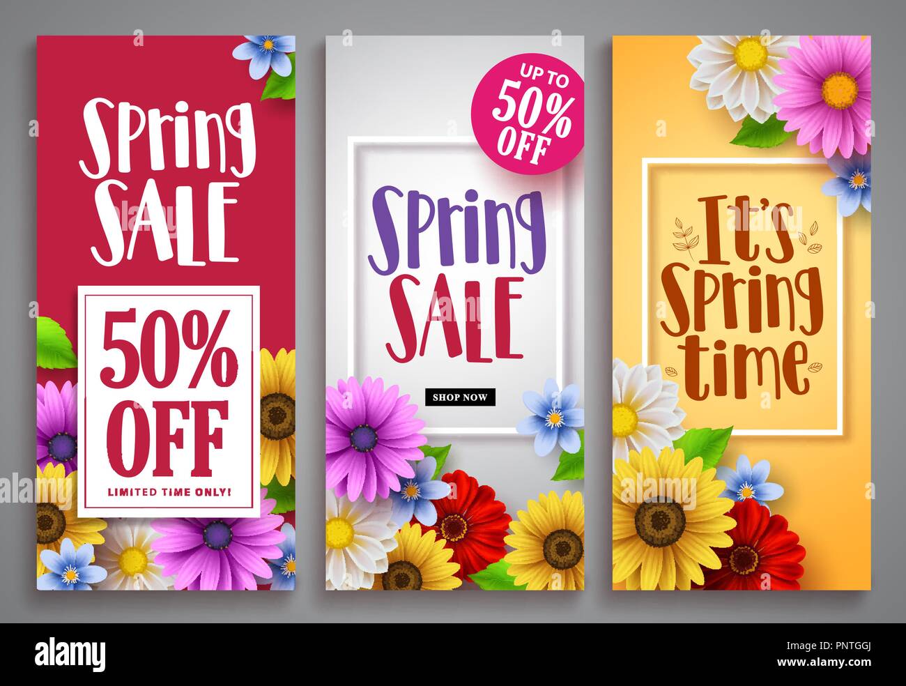 Spring sale vector poster set with colorful background templates, frames and various daisy