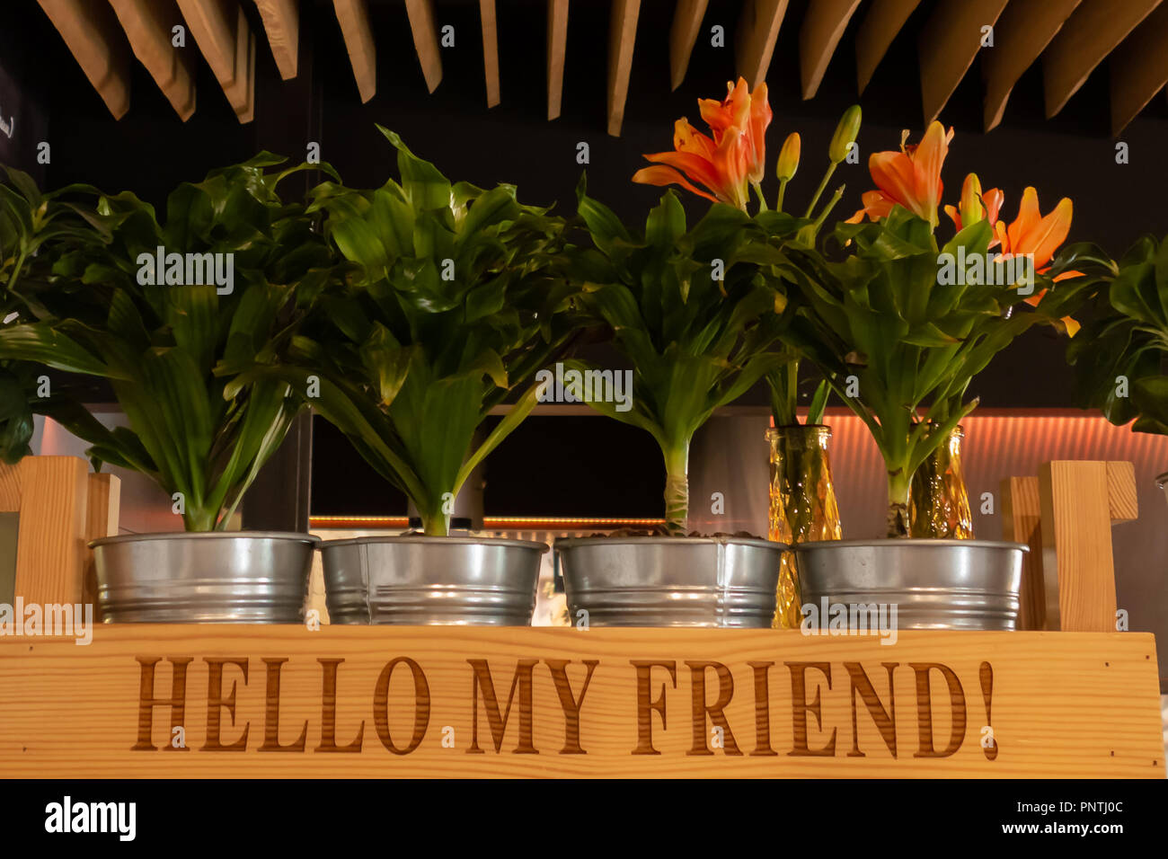 Coffee Cafe Decoration With Tree Pots Wooden Box Bag And Glass