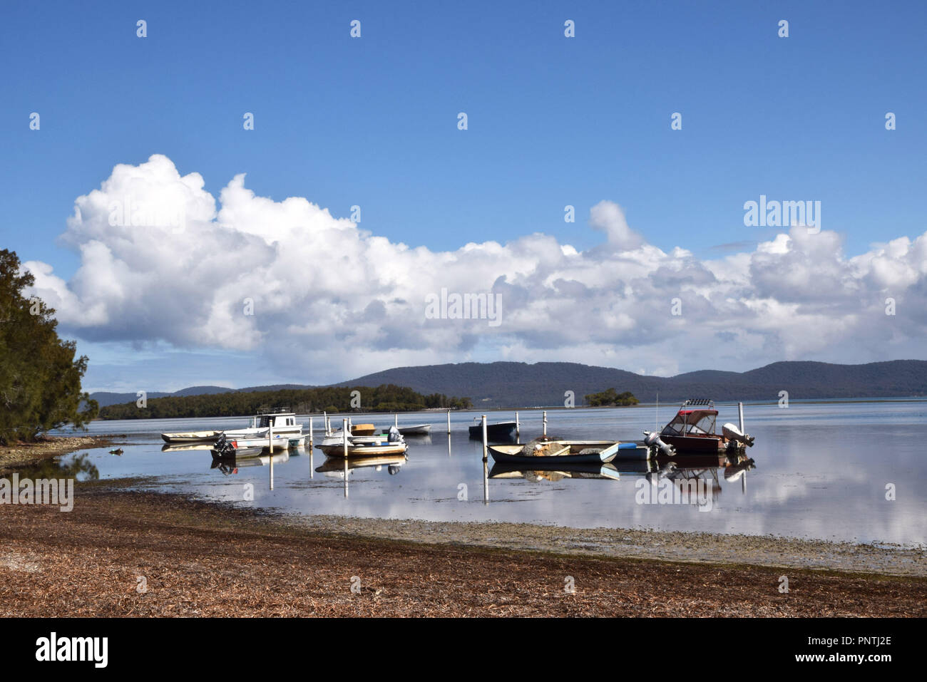 Wallis Lake, Booti Booti National Park, NSW, Australia Stock Photo