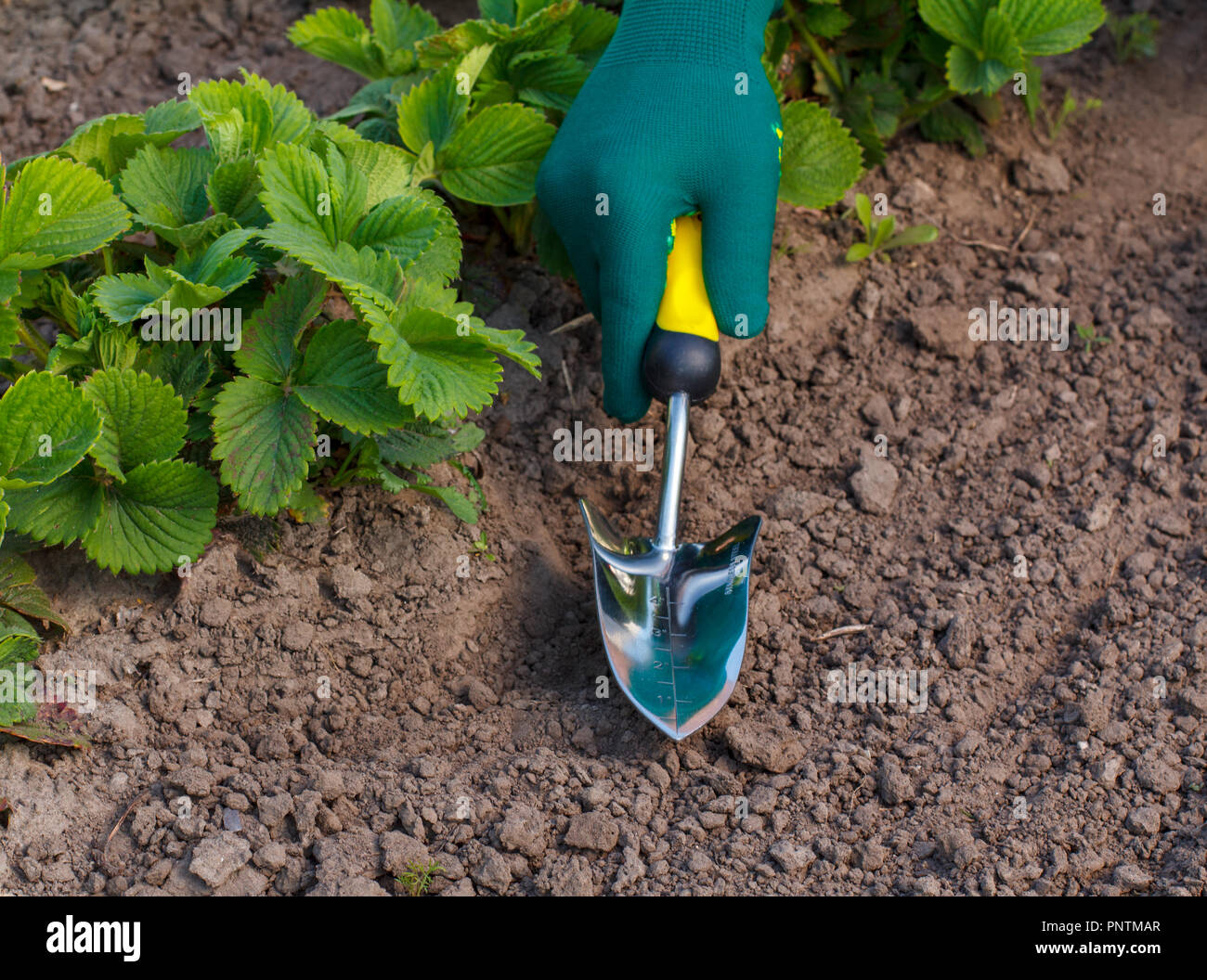 small hand shovel
