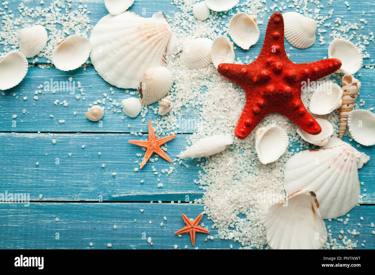 summer background red starfish and seashells on blue wooden background. summer vacation background with copy space Stock Photo