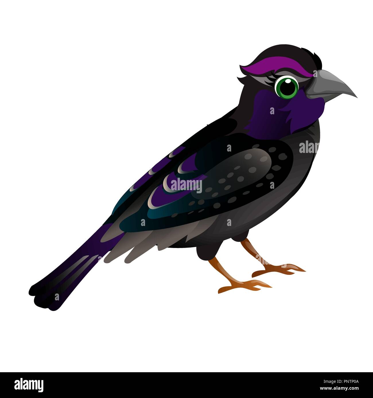 Cute animated bird isolated on white background. Vector cartoon close