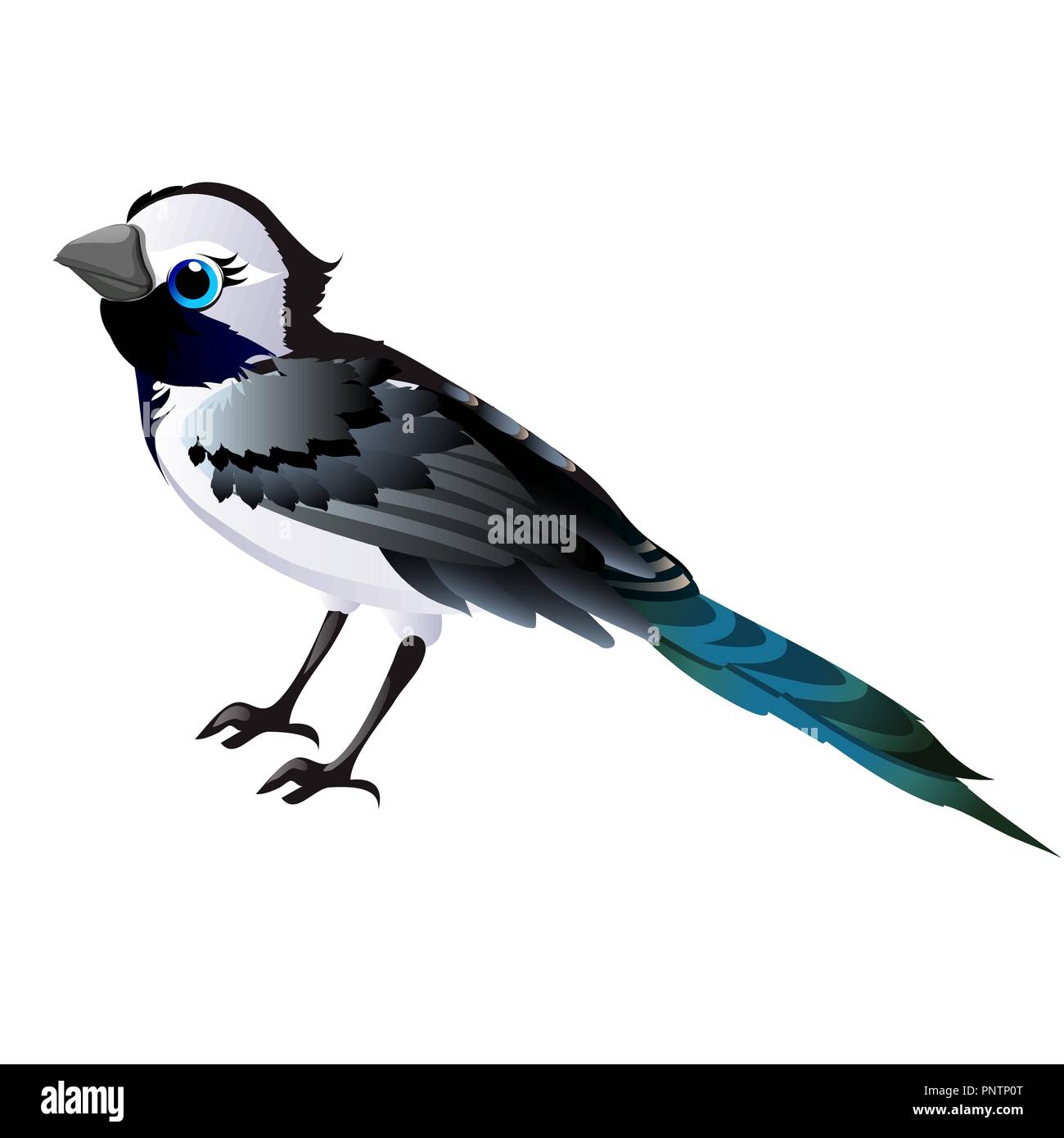 Cute animated bird isolated on white background. Vector cartoon close