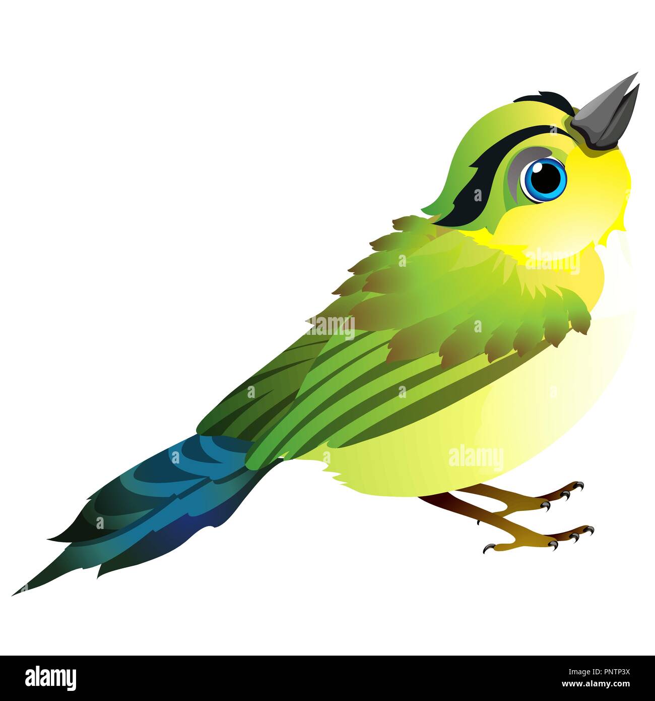 Songbird singing white background Stock Vector Images - Alamy