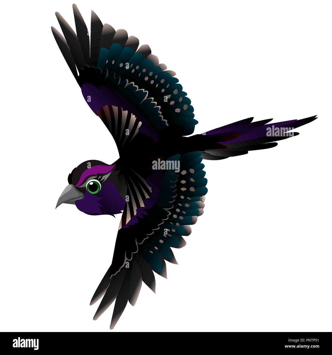 Cute animated bird isolated on white background. Vector cartoon close