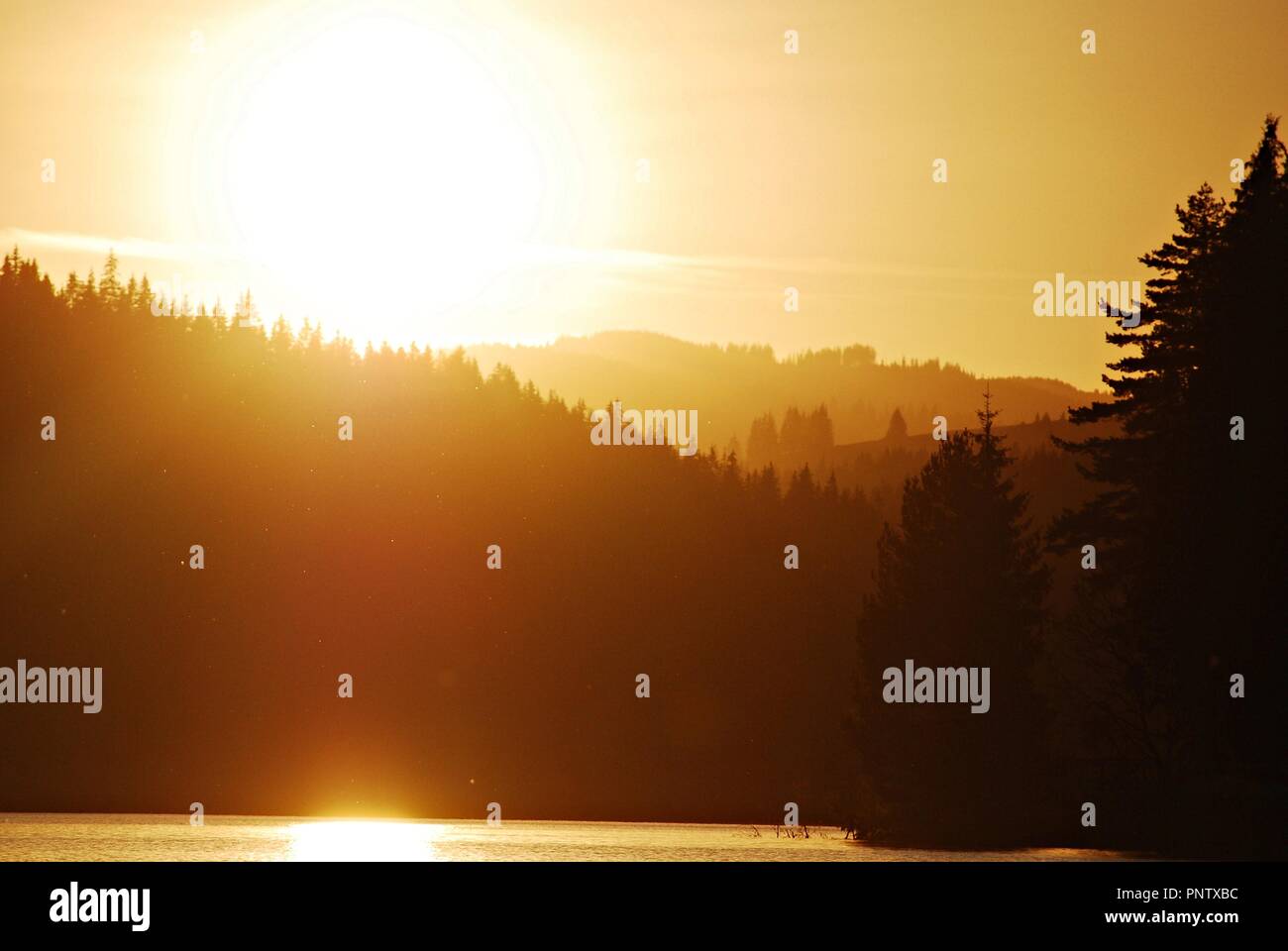 Golden jour hi-res stock photography and images - Alamy