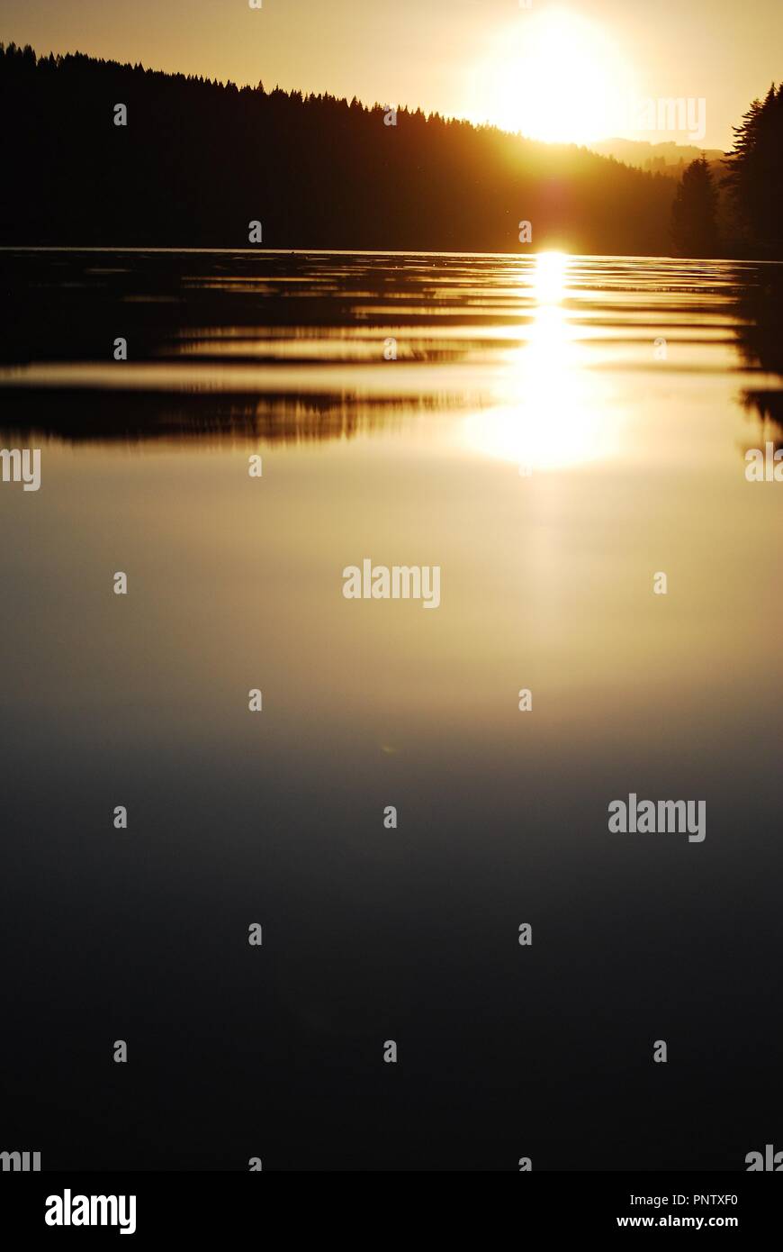Golden jour hi-res stock photography and images - Alamy