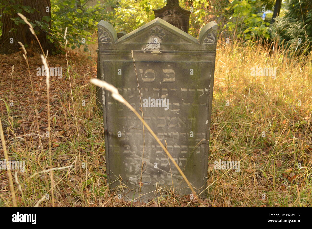 goerlitz saxony germany 2018 juedischer friedhof judaica Stock Photo