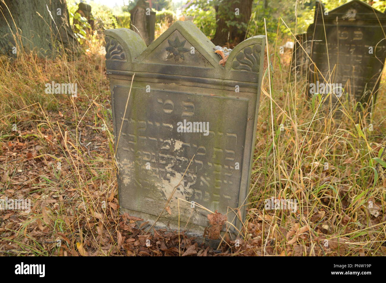 goerlitz saxony germany 2018 juedischer friedhof judaica Stock Photo