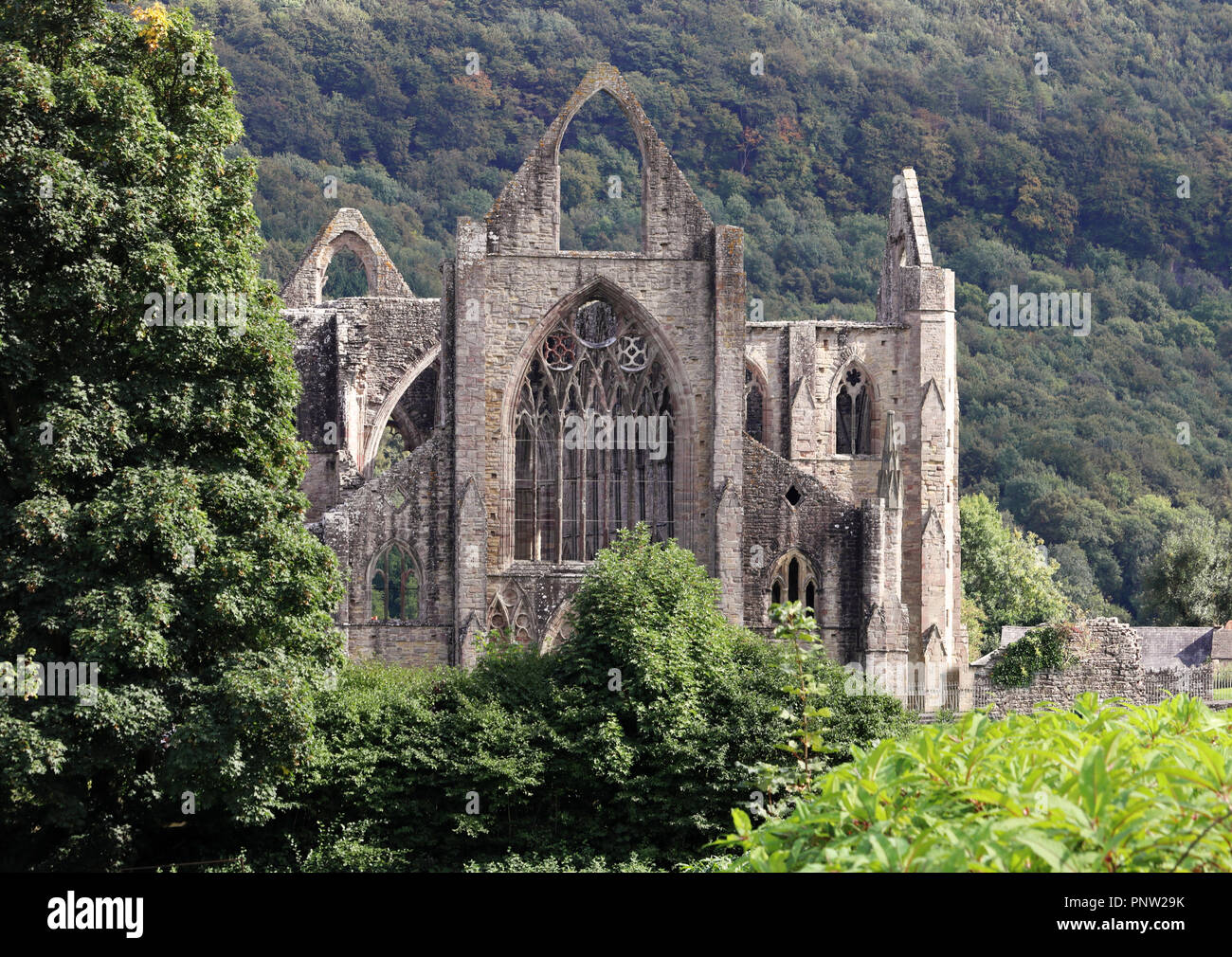 Tintern Tintern Abbey Wales High Resolution Stock Photography and Images - Alamy