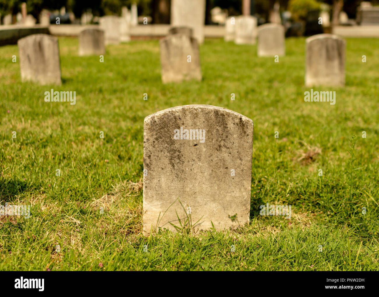 Graveyards With Tombstones In Cemetery Spooky Halloween Composition With Space For Names And Inscriptions Graveyards With Tombstones In Cemetery Spooky Halloween Composition With Space For Names And Inscriptions