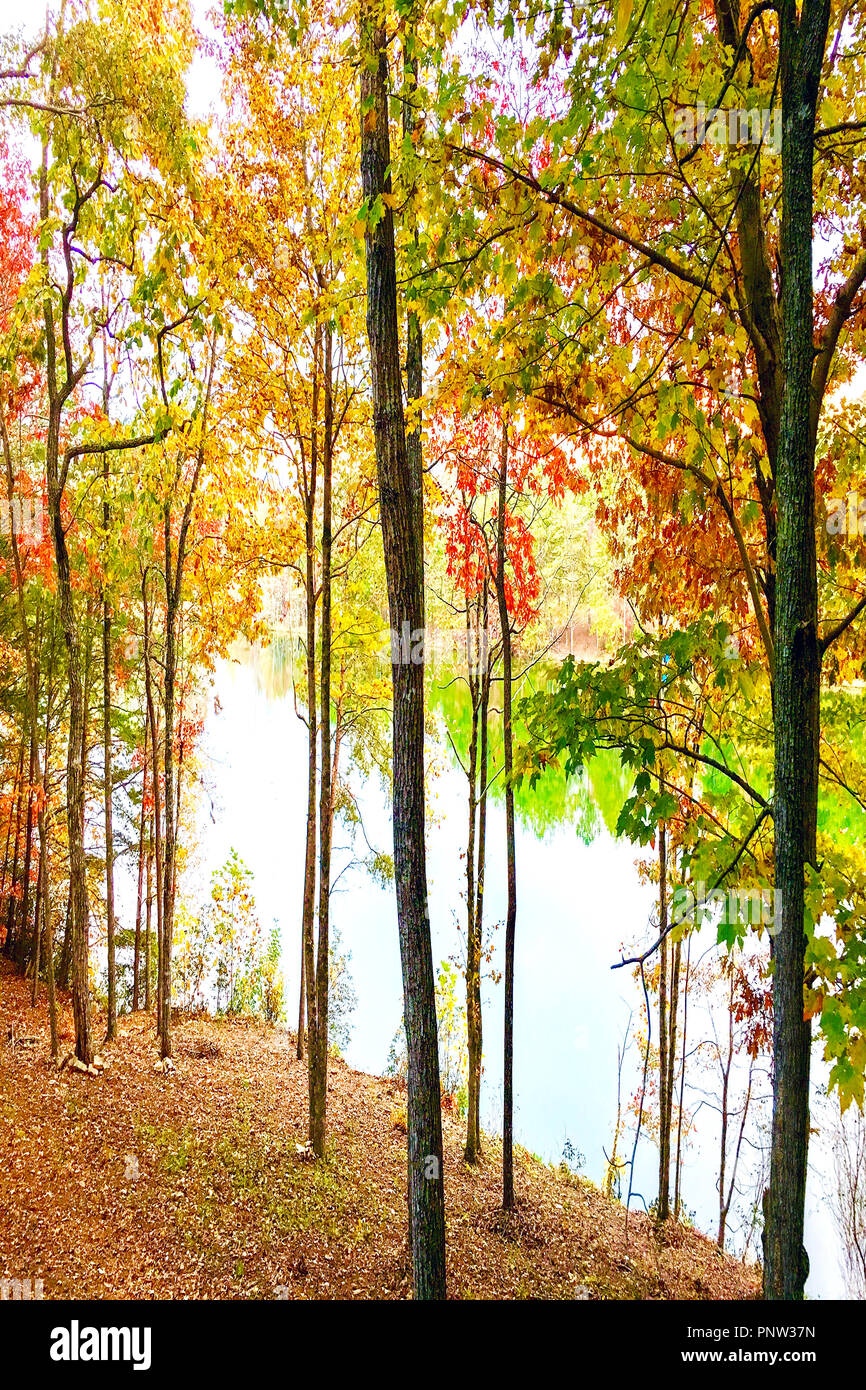 Fall Foliage Around a Lake Stock Photo