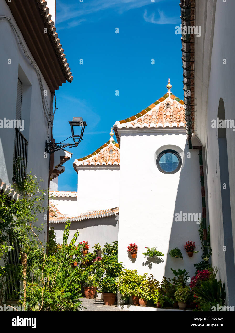 Pretty traditional white houses in narrow lane with terracotta plant pots, village of Canillas de Acietuna, Mudejar route, Andalusia, Spain Stock Photo