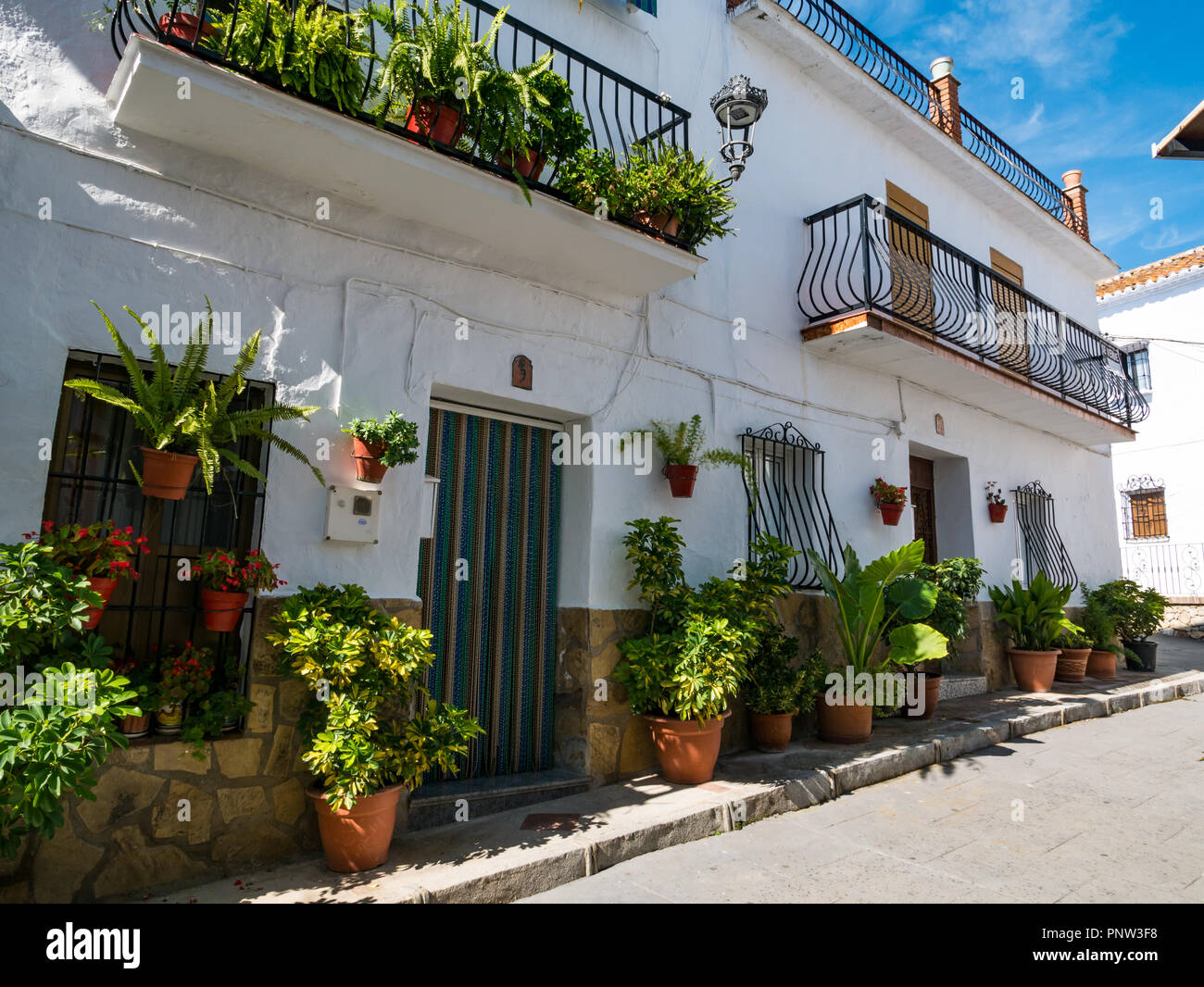 Pretty traditional white houses in narrow lane with terracotta plant pots, village of Canillas de Acietuna, Mudejar route, Andalusia, Spain Stock Photo