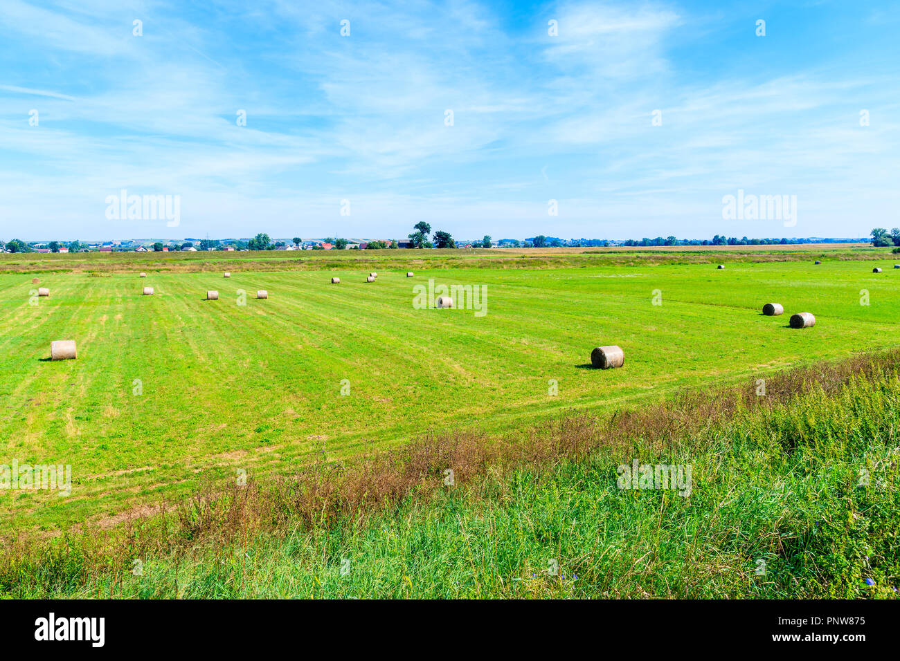 Green field with hay bales near Cracow city on sunny summer day, Poland Stock Photo