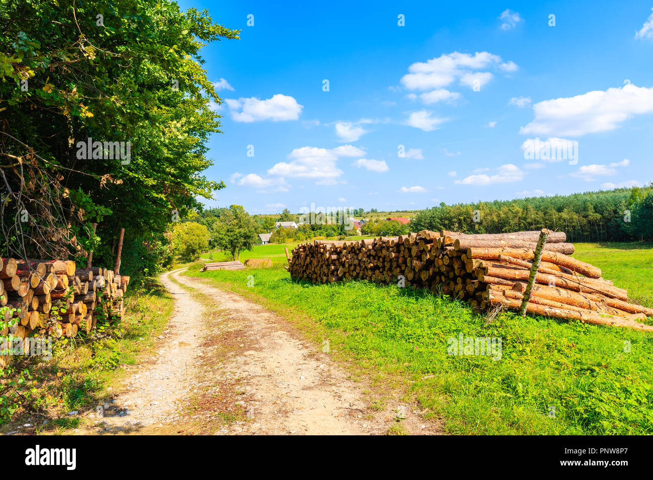 Wood logs on side of rural road and green meadow on sunny summer day near Olkusz town, Poland Stock Photo