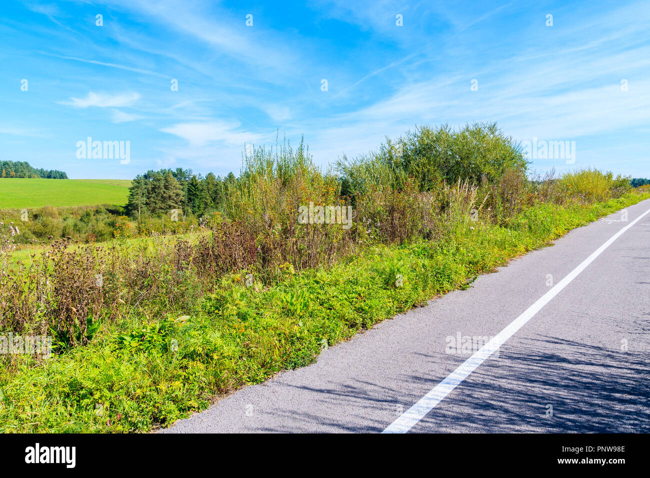 Cycling track in beautiful summer landscape of Tatry Mountains near Czarny Dunajec, Poland Stock Photo