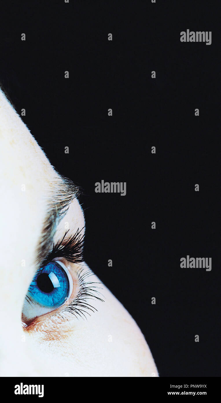 Studio close up of young woman's blue eye. Stock Photo