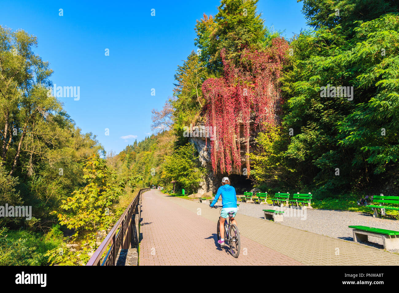 Young woman cycling along Dunajec river to Szczawnica town on sunny autumn day, Pieniny Mountains, Poland Stock Photo