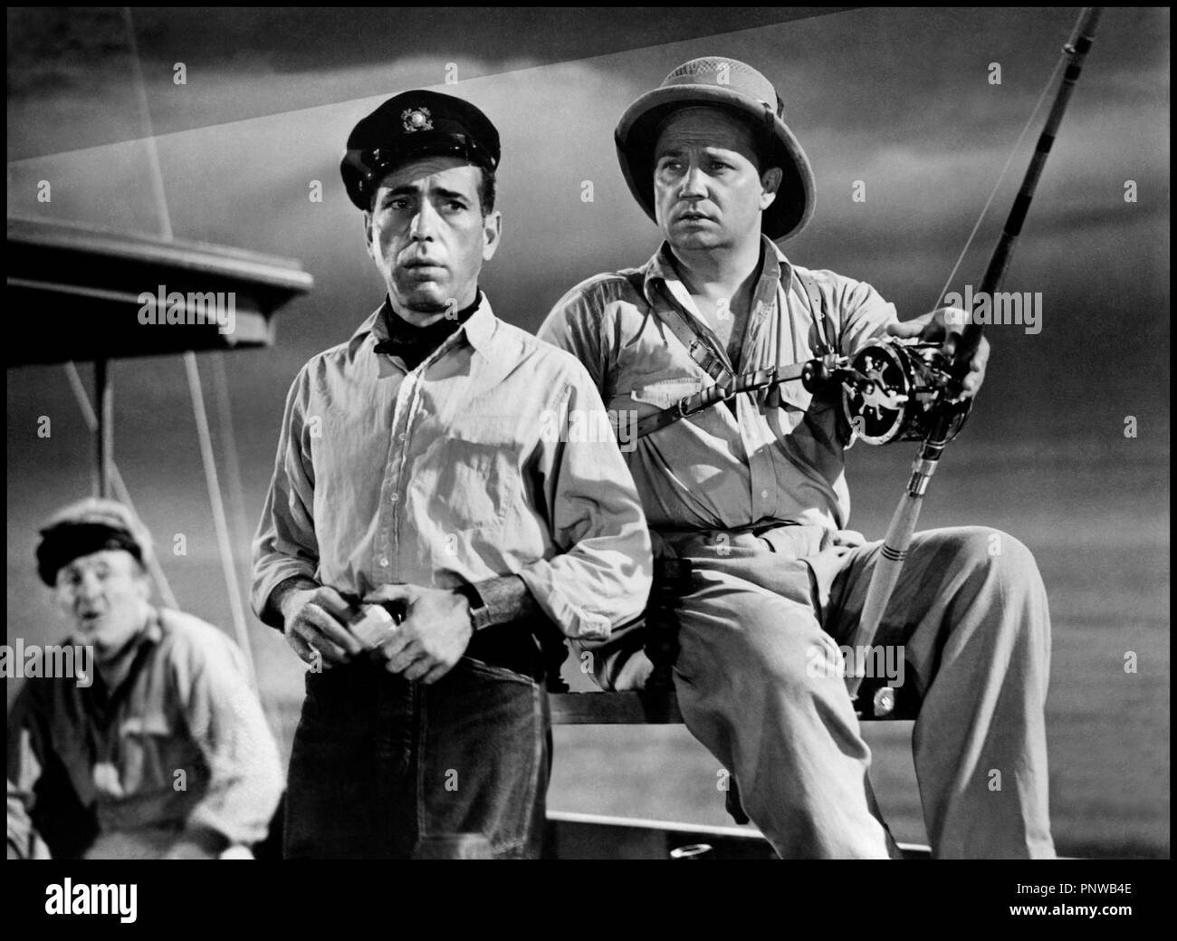 Loup Marin Stock Photos & Loup Marin Stock Images Alamy