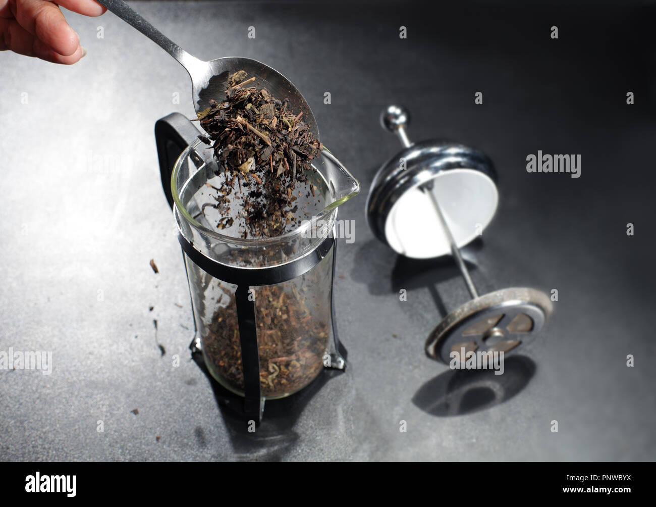 Pouring tea herbs into pot. Stock Photo