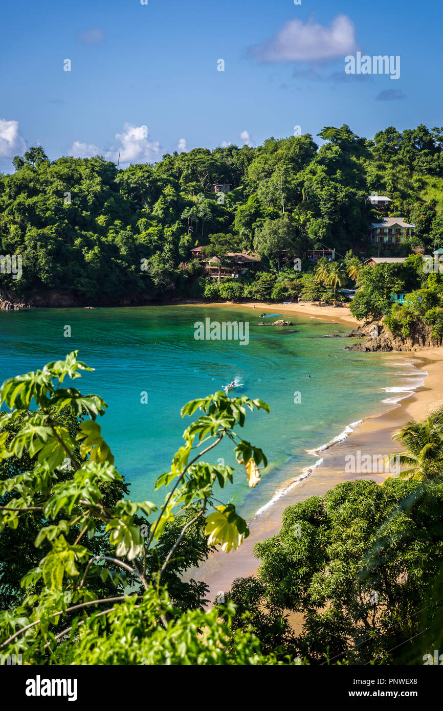 Amazing tropical beach in Trinidad and Tobago, Caribe Stock Photo