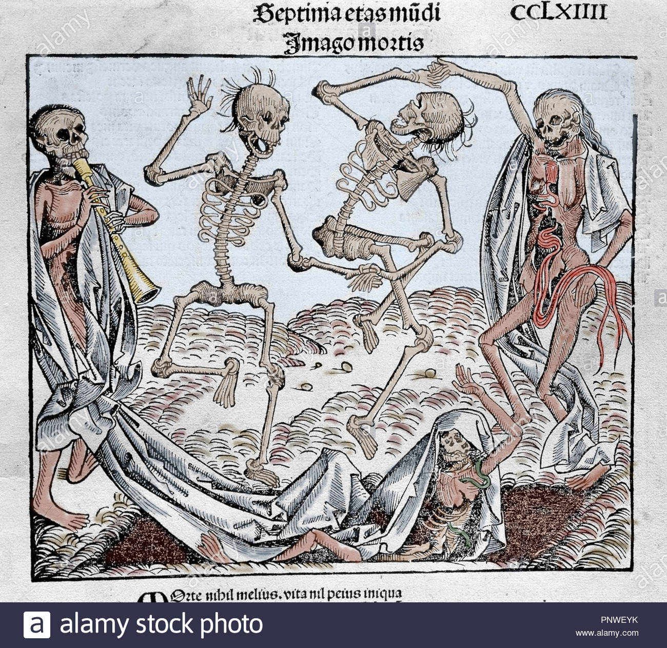The Dance of Death (1493) by Michael Wolgemut, from the Liber chronicarum by
