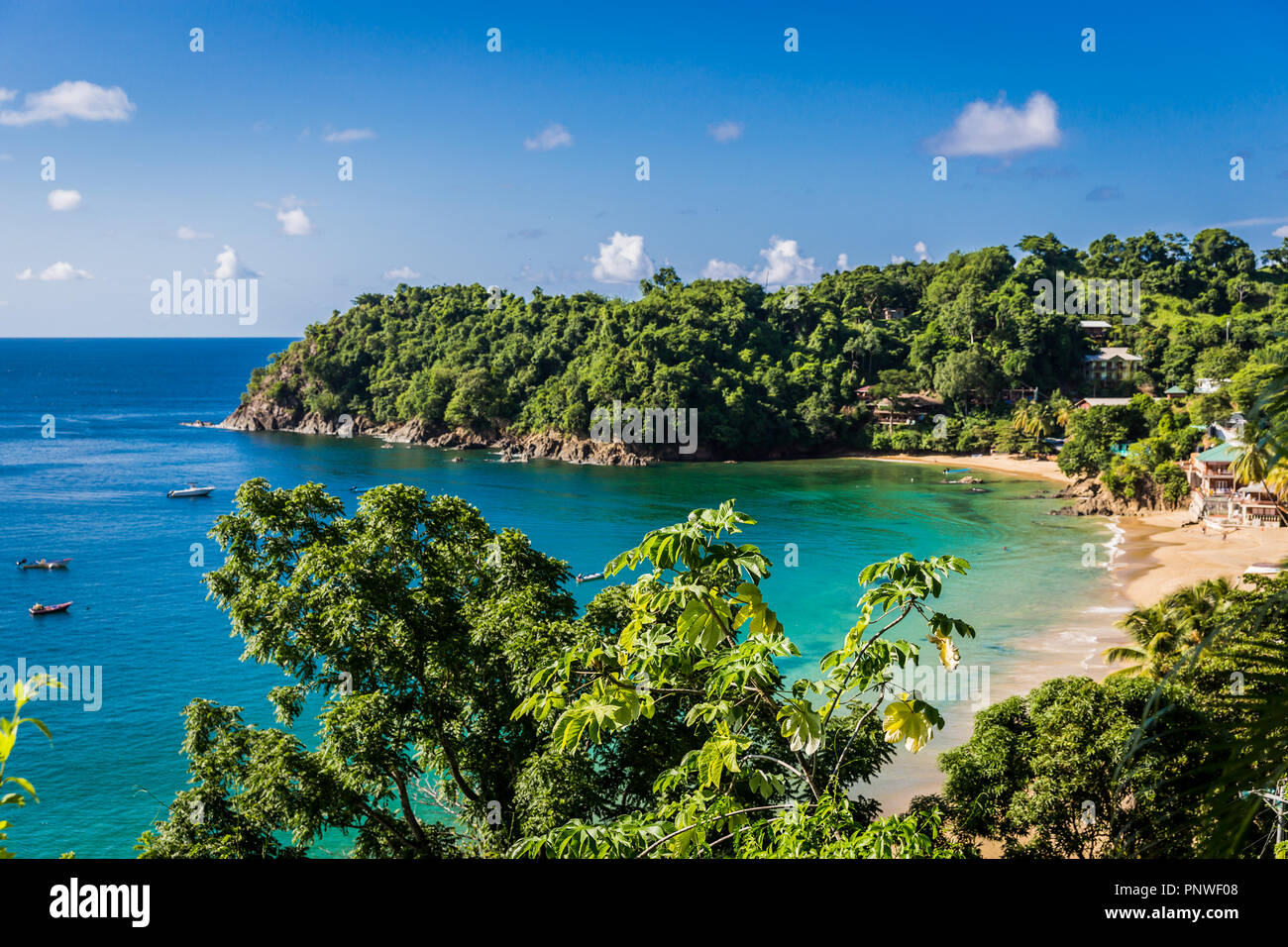 Amazing tropical beach in Trinidad and Tobago, Caribe - blue sky, trees, sand beach Stock Photo