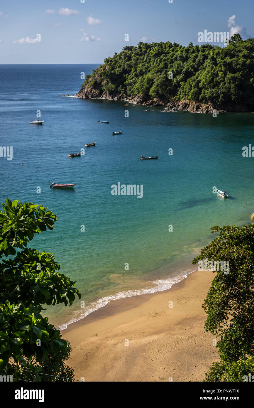 Amazing tropical beach in Trinidad and Tobago, Caribe - blue sky, trees, sand beach, wood boats Stock Photo