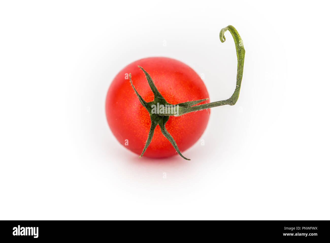 Single tomato on a whilte background with stalk and leaves Stock Photo