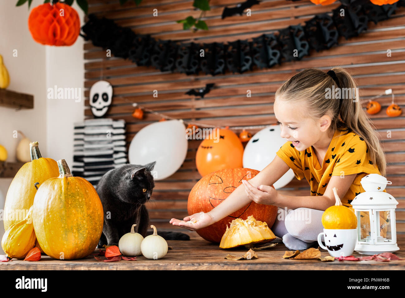 Adorable young girl sitting on a table feeding her pet cat pumpkin
