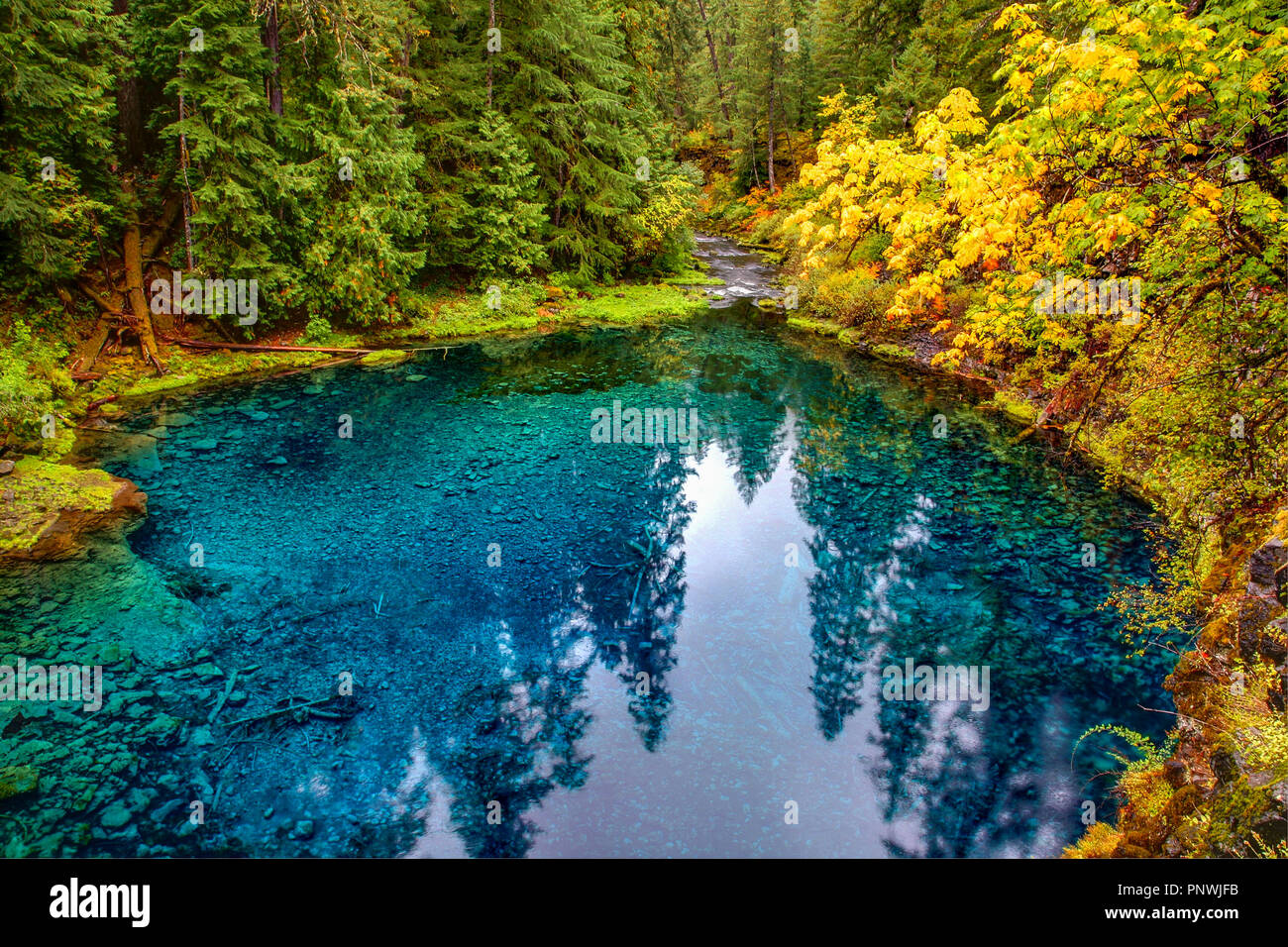 Autumn Color at Tamolitch Pool (The Blue Pool) on the McKenzie River Near Eugene Oregon Stock Photo