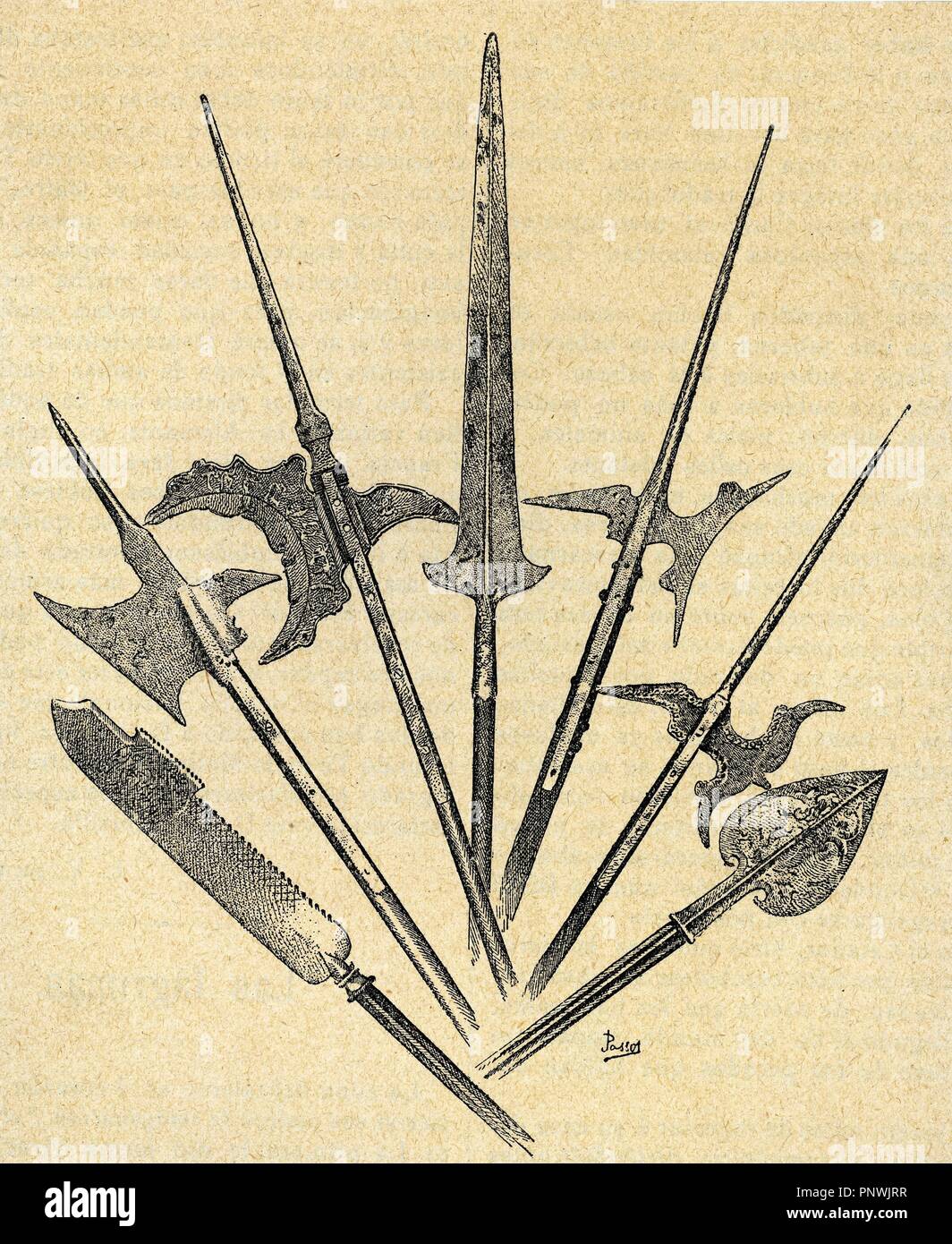 Weapons. Swiss Halberd from 18th century, Swiss halberd from 15th century, German halberd from 16h century, French halberd from 16th century, Venetian halberds from 16th century and spearhead of the 16th century. Engraving. Stock Photo