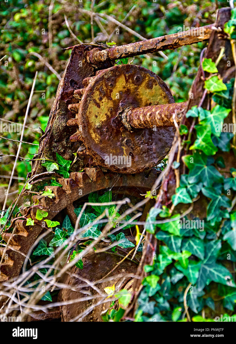 Old, rusting winch machinery overgrown by ivy Stock Photo